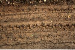 Soil Trace